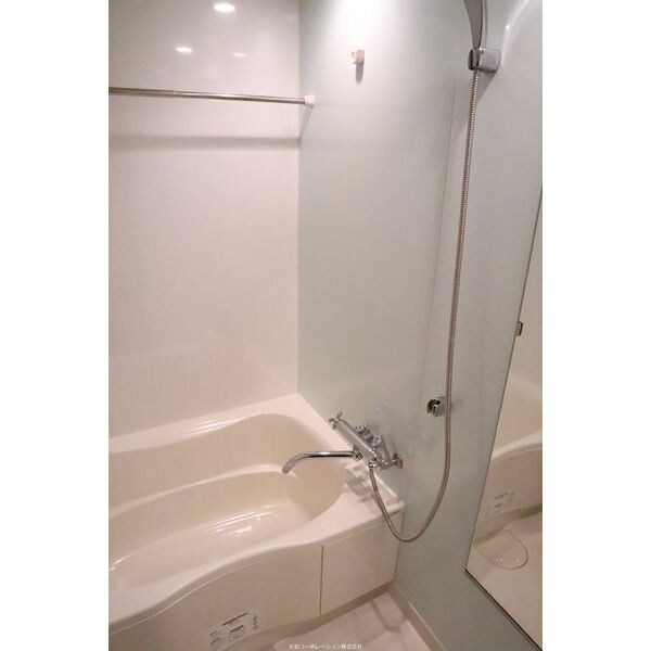 セイワパレス長堀南の物件内観写真