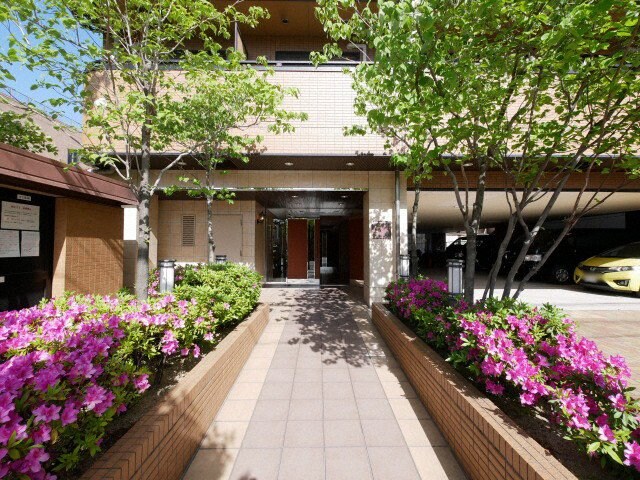 ドミール桜川の物件外観写真