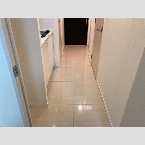 S-RESIDENCE難波Brillerの物件内観写真