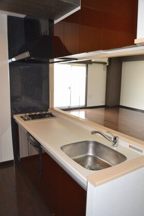 THE PREMIUM AQUAの物件内観写真