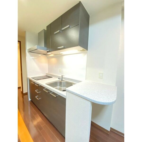 CITY SPIRE桜川Iの物件内観写真