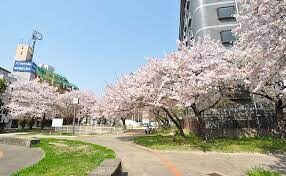 MELDIA CREST TAPP NAMBA-WESTの物件外観写真