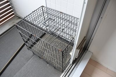 Felis北堀江の物件内観写真