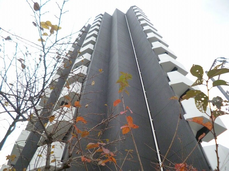 中之島駅 徒歩5分 10階の物件外観写真