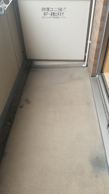 天神橋筋六丁目駅 徒歩10分 5階の物件内観写真