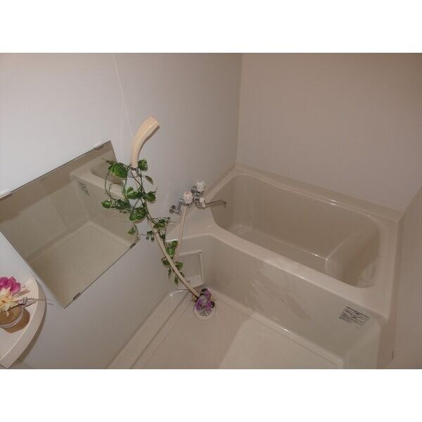 セルベッサ札幌レジデンスの物件内観写真