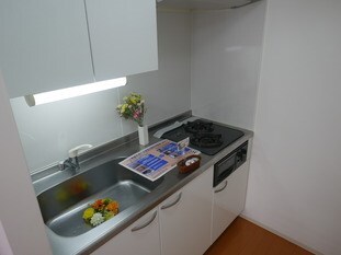 グランカーサ南13条の物件内観写真