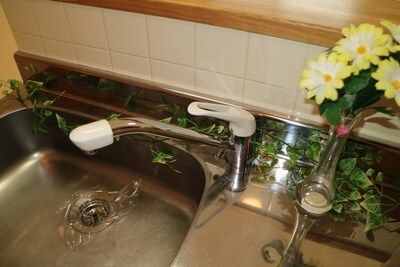 ensoleille山鼻の物件内観写真