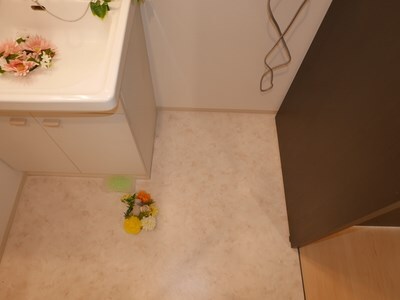 グランカーサ南11条の物件内観写真