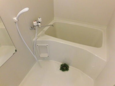 Ambiente619（アンビエンテ619）の物件内観写真