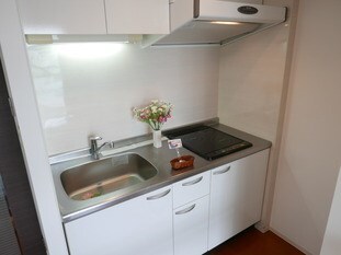 クレジデンス札幌・南4条の物件内観写真