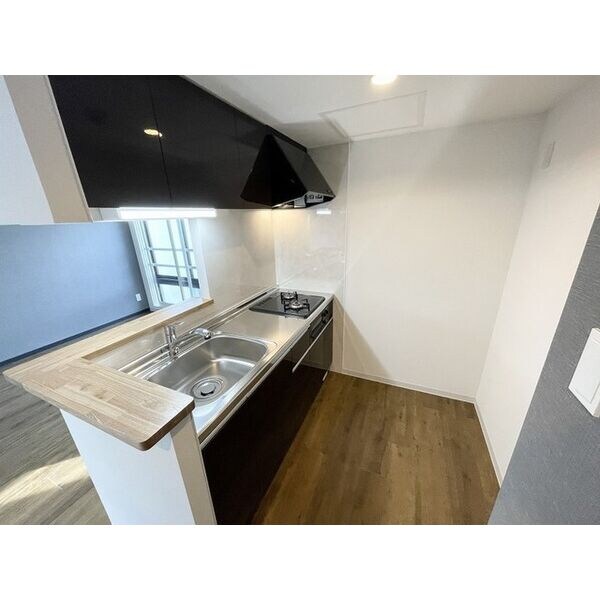 Ritz　GRANDE　N23(リッツグランデN23)の物件内観写真