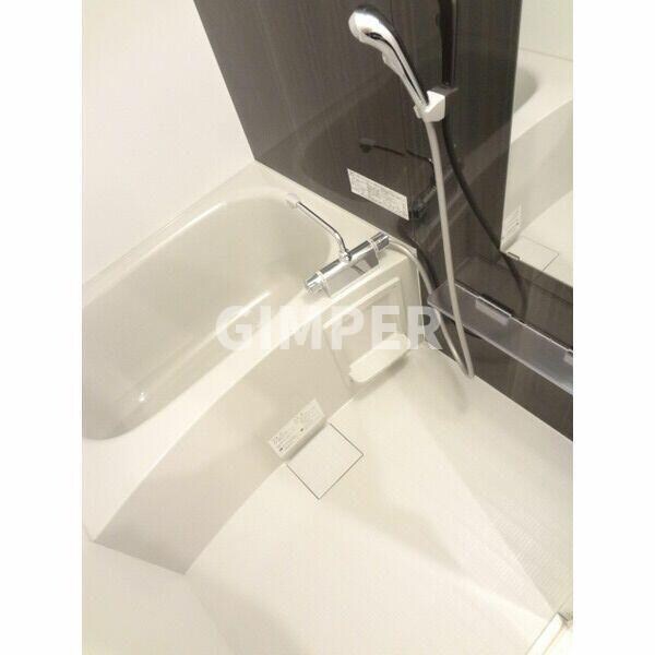 ＬＡＰｉＳ本駒込の物件内観写真