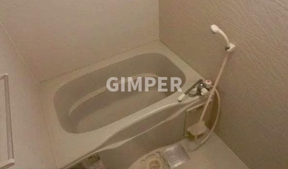 ステラ目白台の物件内観写真