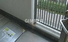 プリムヴェーレの物件内観写真