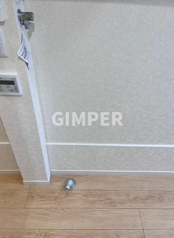 ネクサス新宿戸山公園の物件内観写真