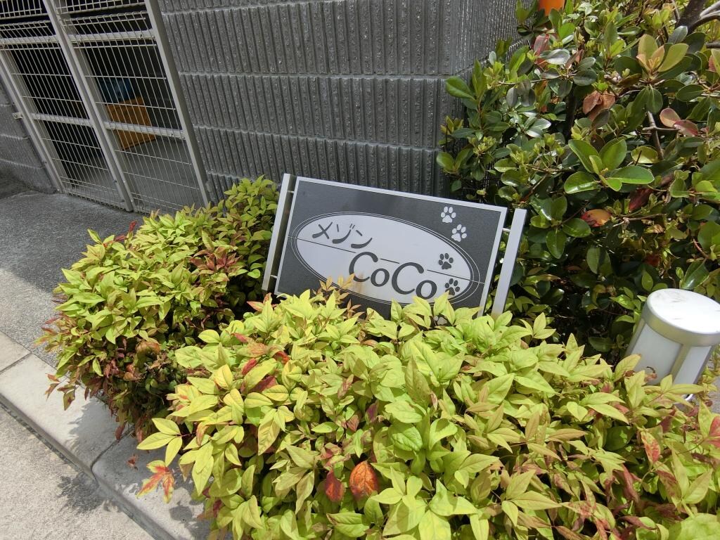 メゾンCoCoの物件外観写真