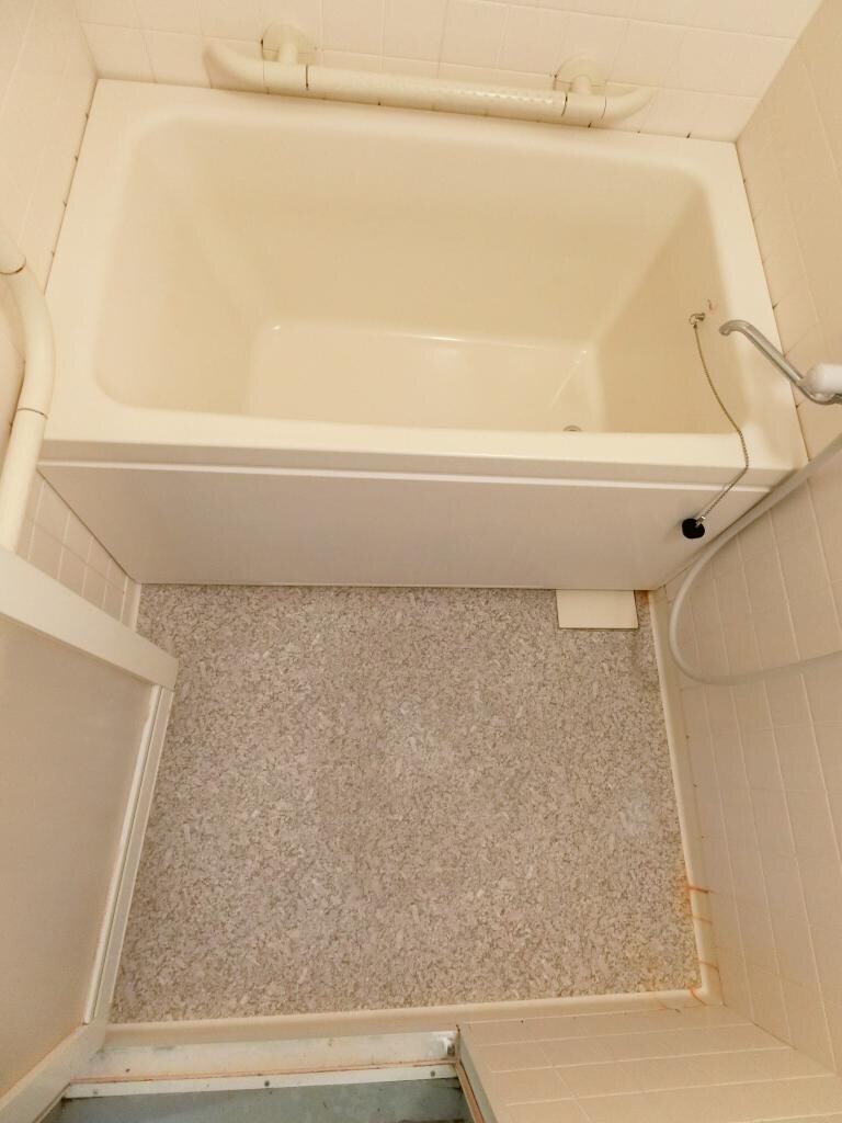 セントポリスの物件内観写真