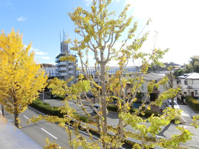 公園東口駅 徒歩30分 2階の物件内観写真
