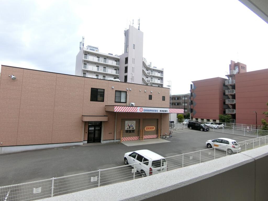 千里丘駅 徒歩5分 6階の物件内観写真