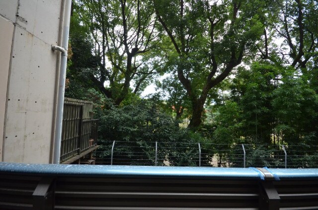 ノーブル縮景園の物件内観写真