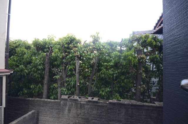 月光南観音参番館の物件内観写真