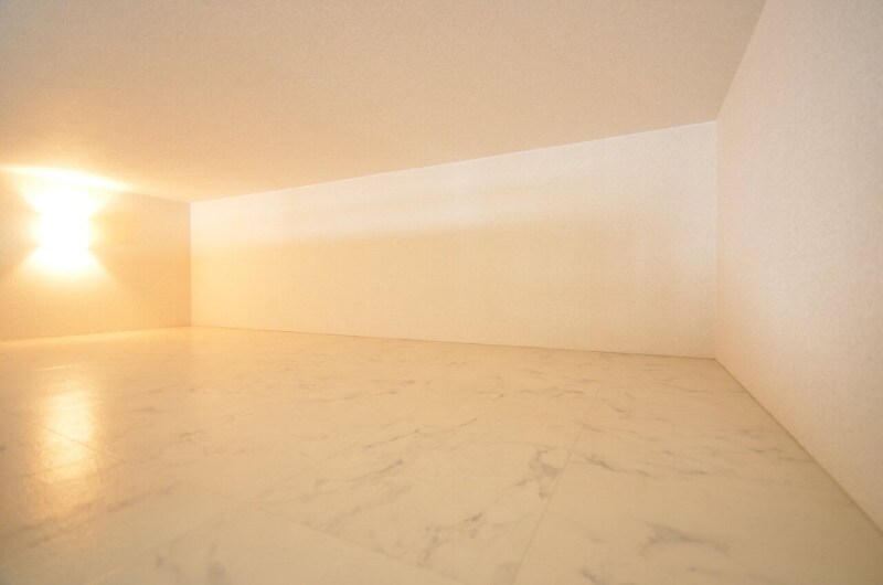 LION大手町の物件内観写真