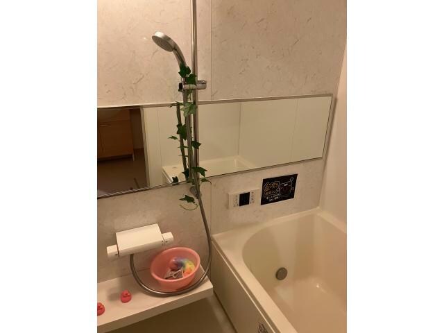 シュレイルの物件内観写真