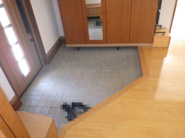 北29条西15丁目 戸建の物件内観写真