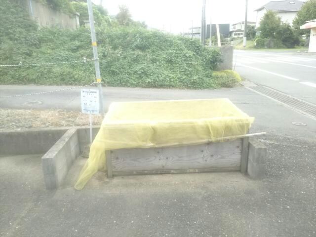 サウスト・クレールの物件外観写真