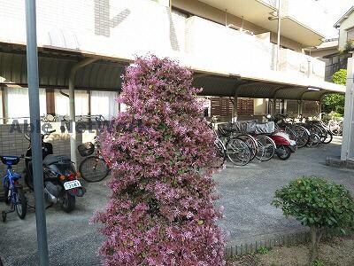 リビオ金剛の物件外観写真