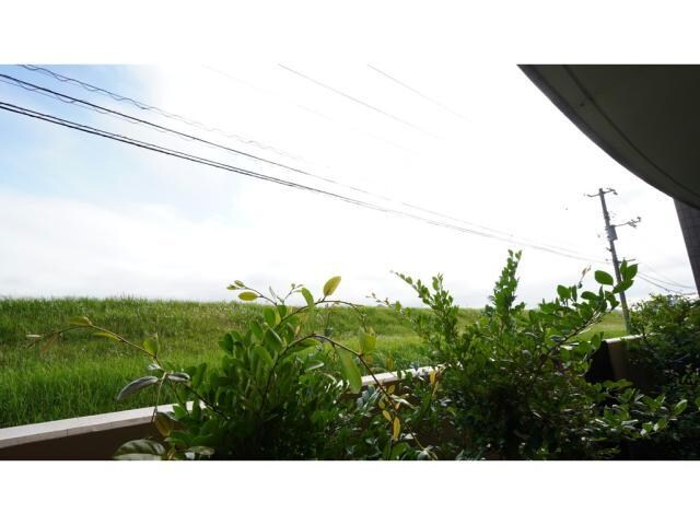 キャッスルⅡの物件内観写真