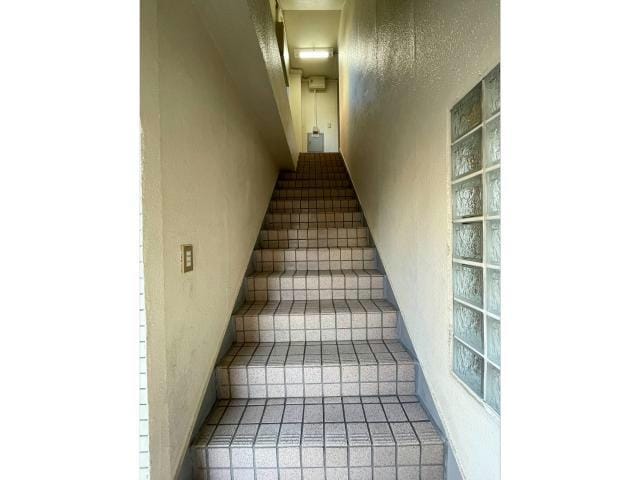 ベルハイム中川の物件外観写真