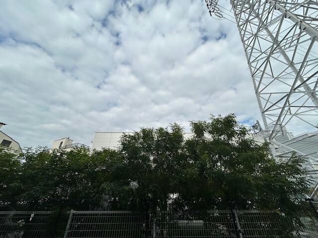 リブリ・エルカーサ亀有の物件内観写真