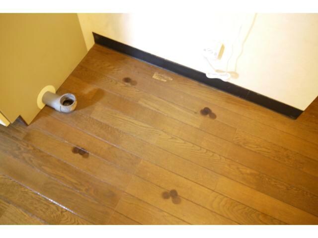 Lions Cortの物件内観写真