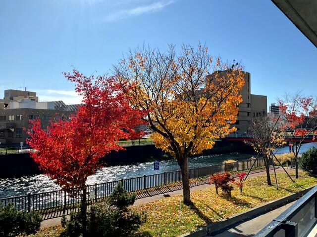 千歳駅 徒歩12分 2階の物件内観写真