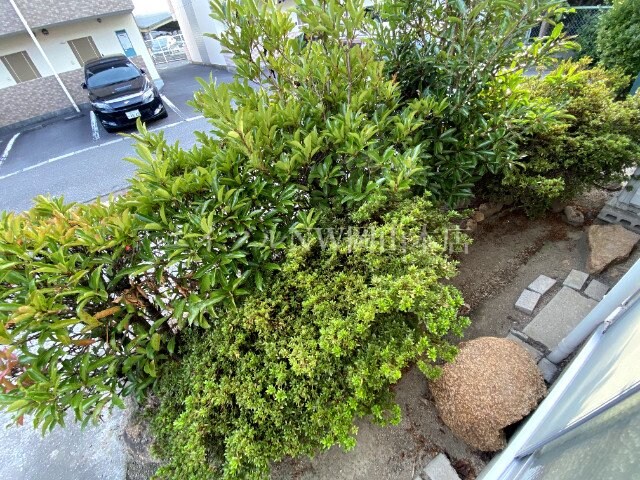 グリーンコーポの物件内観写真