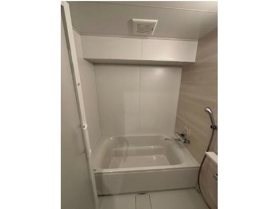 古島駅 徒歩25分 5階の物件内観写真