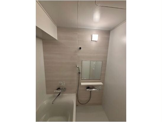 古島駅 徒歩25分 5階の物件内観写真