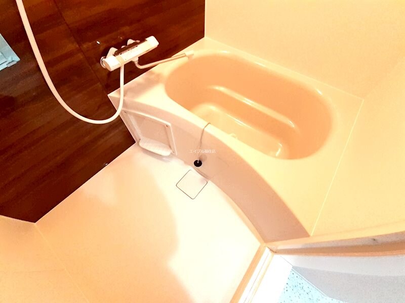 Aster月寒西IIの物件内観写真