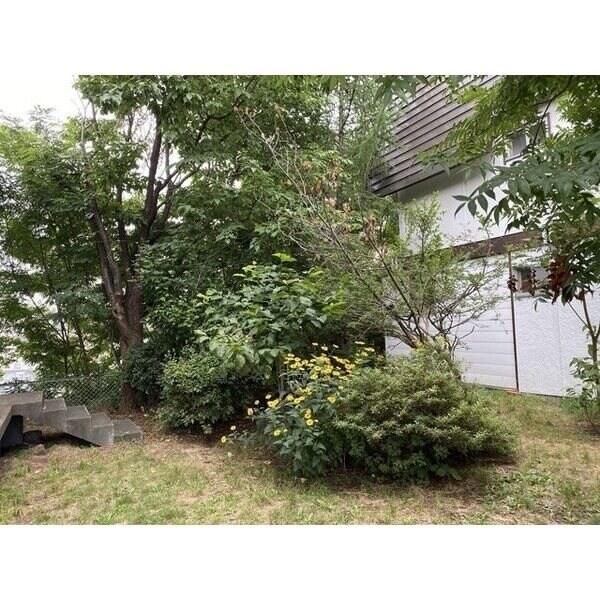 澄川6-13貸家の物件内観写真