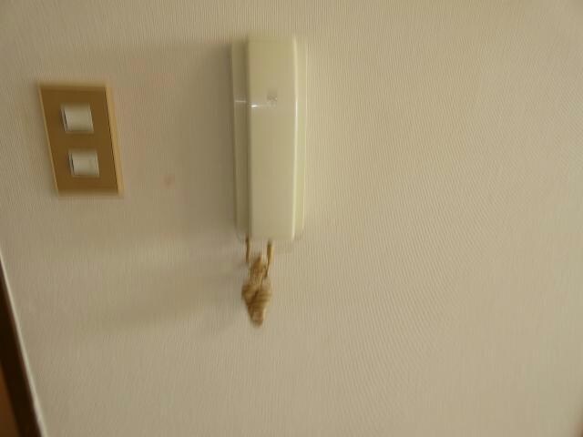 プレジデント島崎の物件内観写真