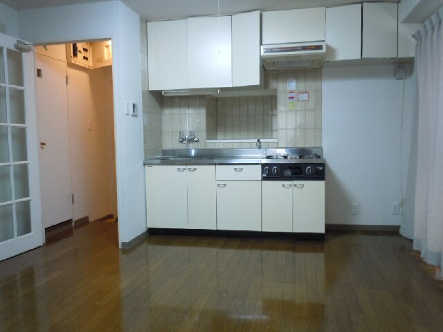 イズミサンリバー川岸の物件内観写真