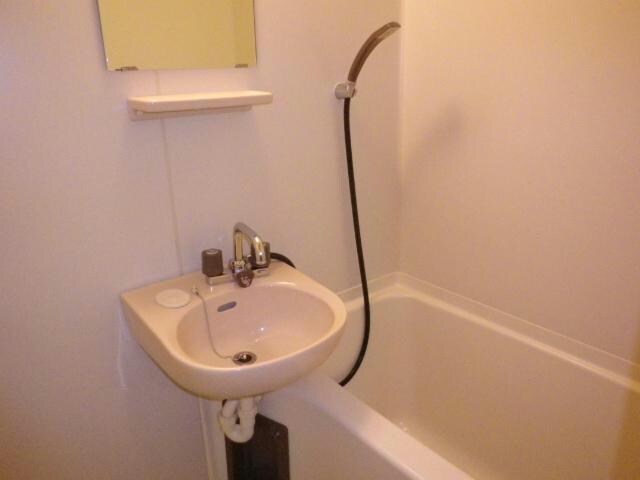 イズミサンリバー川岸の物件内観写真