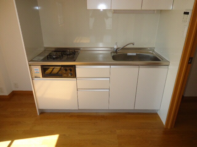 イズミサンリバー川岸の物件内観写真