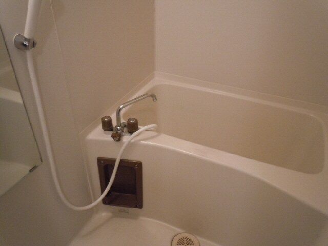 イズミサンリバー川岸の物件内観写真