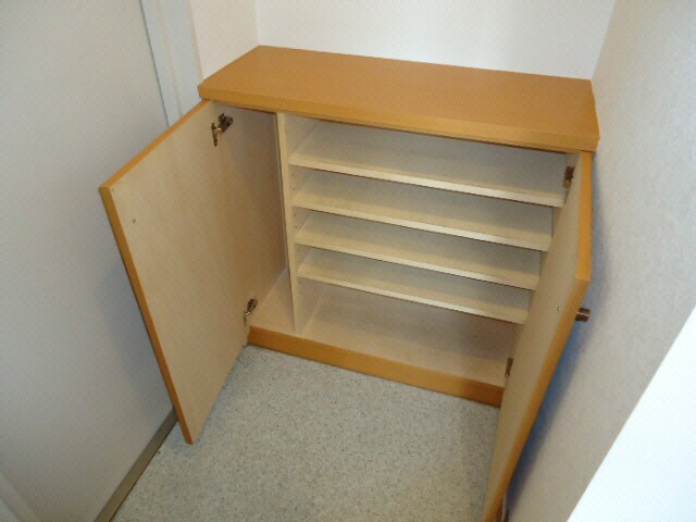 イズミサンリバー川岸の物件内観写真