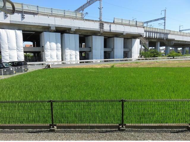 トップラインの物件内観写真