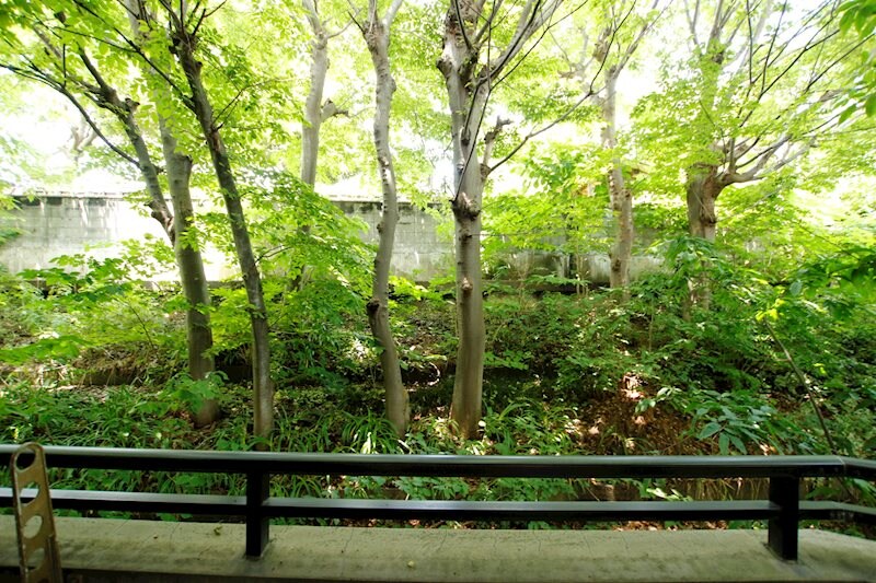 異人池コートの物件内観写真