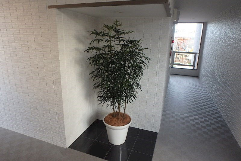 アストライア女池神明の物件内観写真